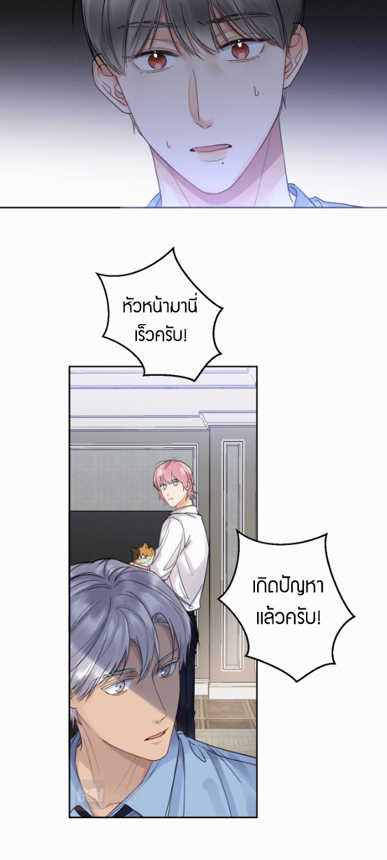 เนเธ–เนเธเธฒเธ 2 40