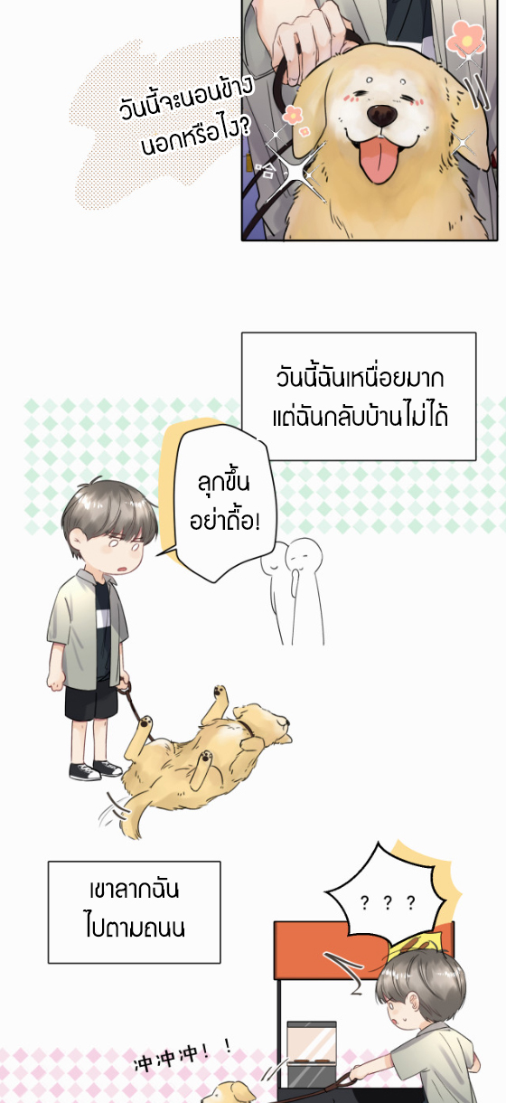 เนเธ–เนเธเธฒเธ 5 21